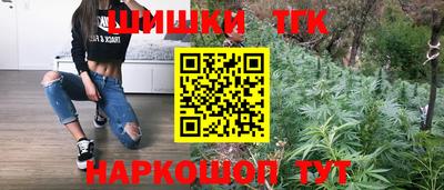 тгк Жуковский