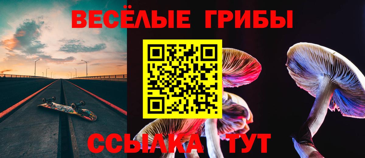 наркошоп  Псилоцибиновые грибы мицелий  Вход с VPN  Орёл 